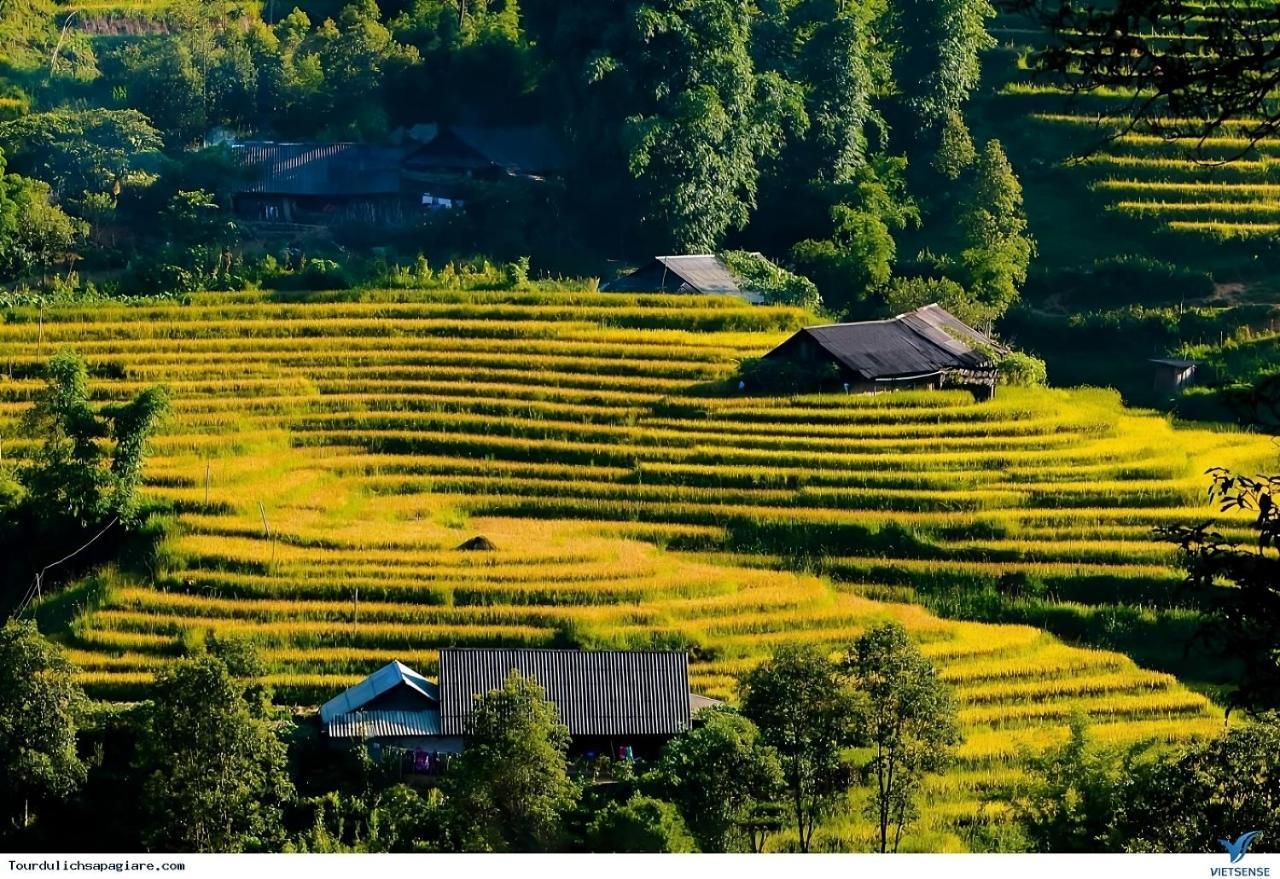 Central Sapa Charm Hotel Luaran gambar